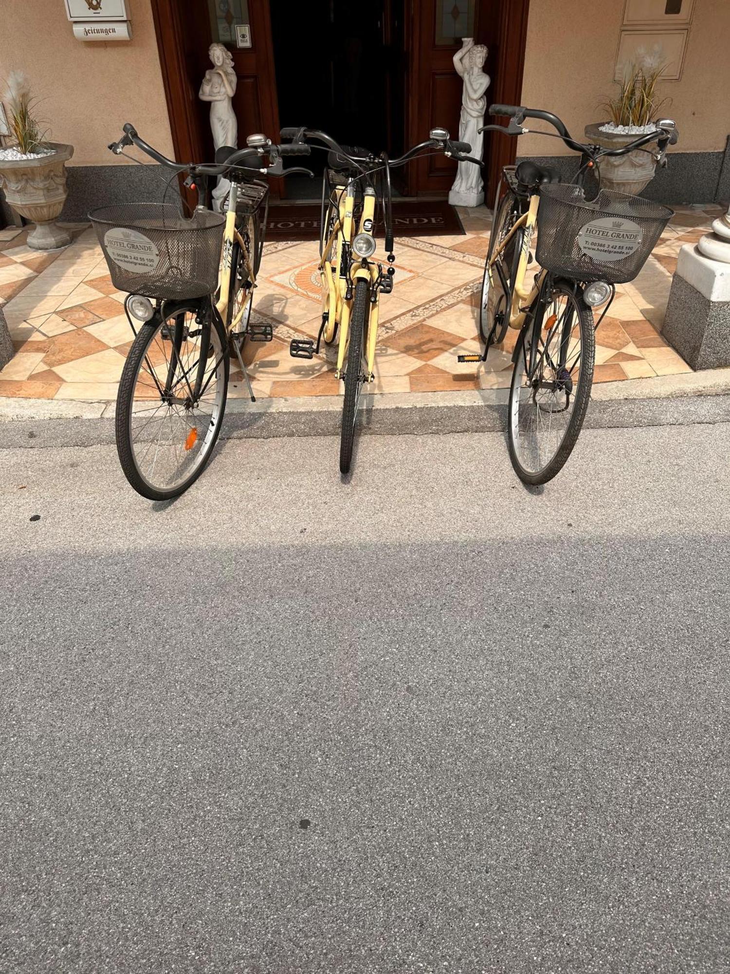 Hotel Grande Celje Dış mekan fotoğraf